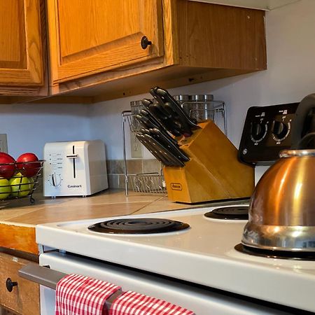 Heavenly View - Bear Themed Cabin, Hottub, Dog-Friendly, Near جاتلينبرج المظهر الخارجي الصورة