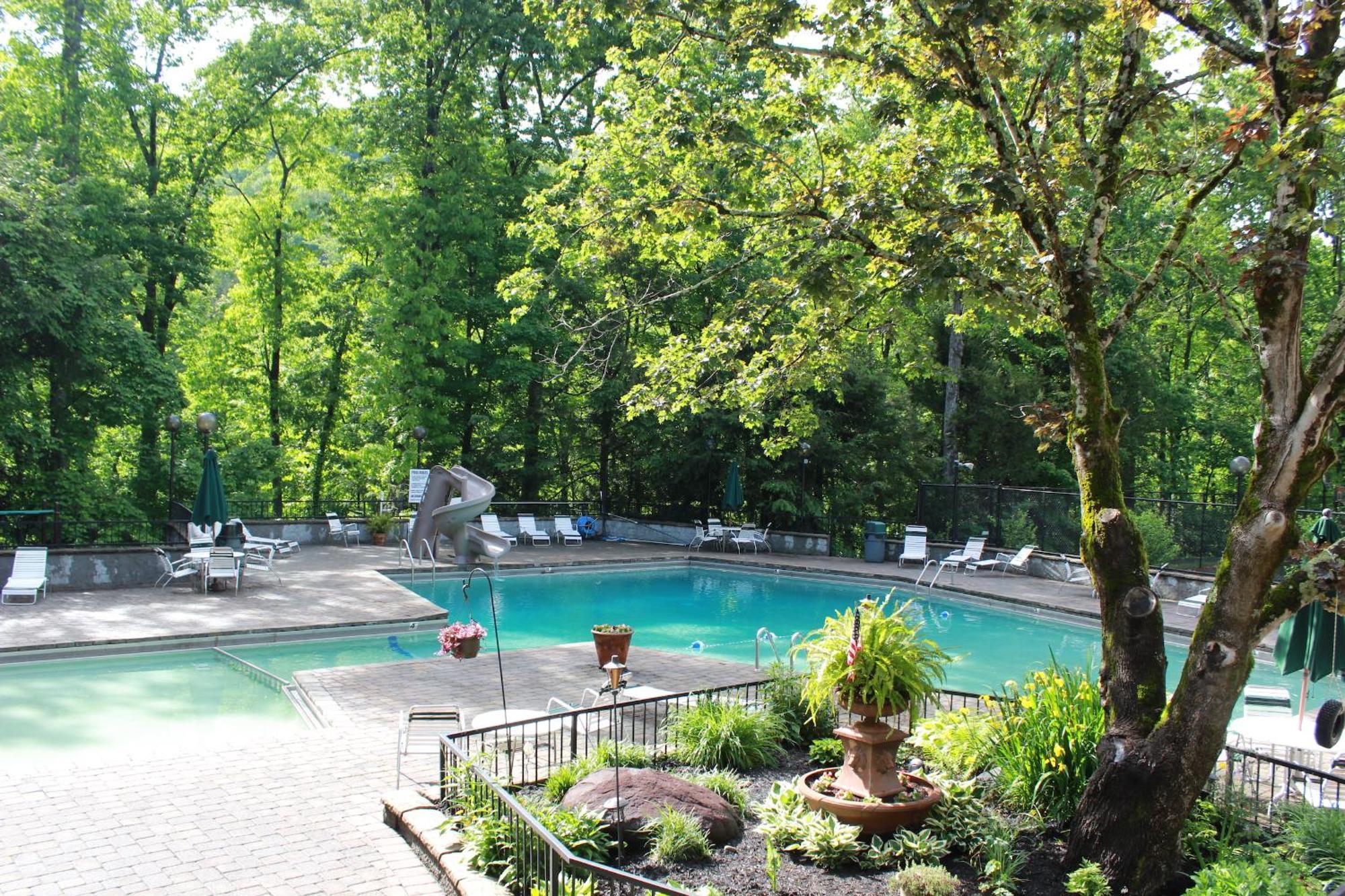 Heavenly View - Bear Themed Cabin, Hottub, Dog-Friendly, Near جاتلينبرج المظهر الخارجي الصورة