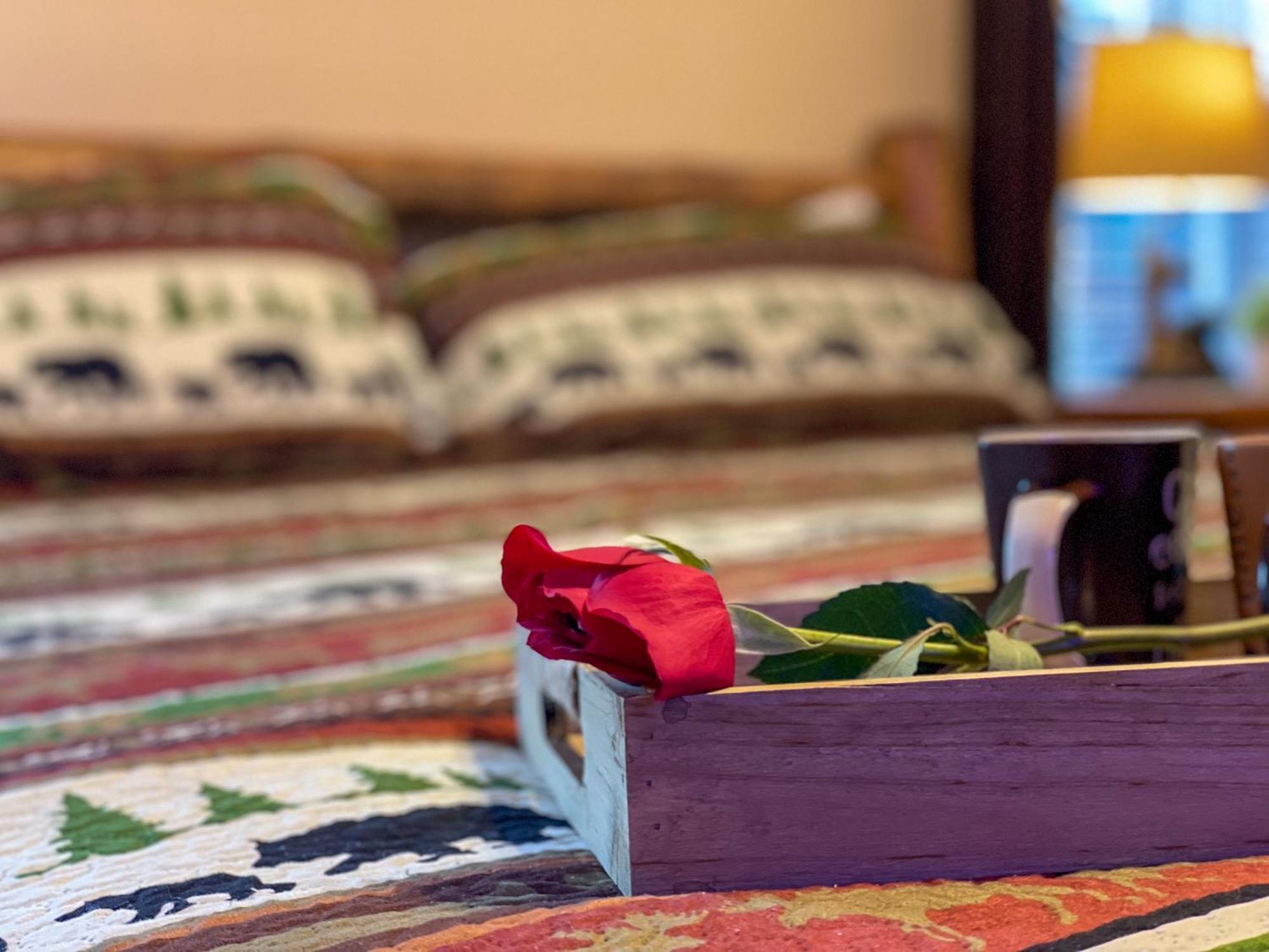 Heavenly View - Bear Themed Cabin, Hottub, Dog-Friendly, Near جاتلينبرج المظهر الخارجي الصورة