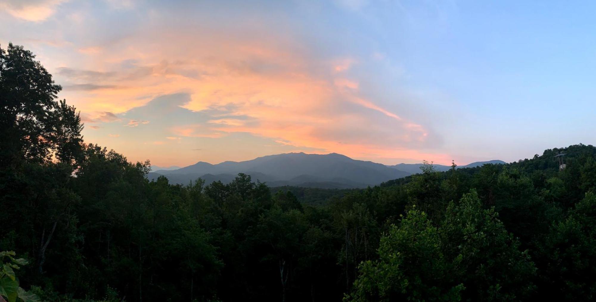 Heavenly View - Bear Themed Cabin, Hottub, Dog-Friendly, Near جاتلينبرج المظهر الخارجي الصورة