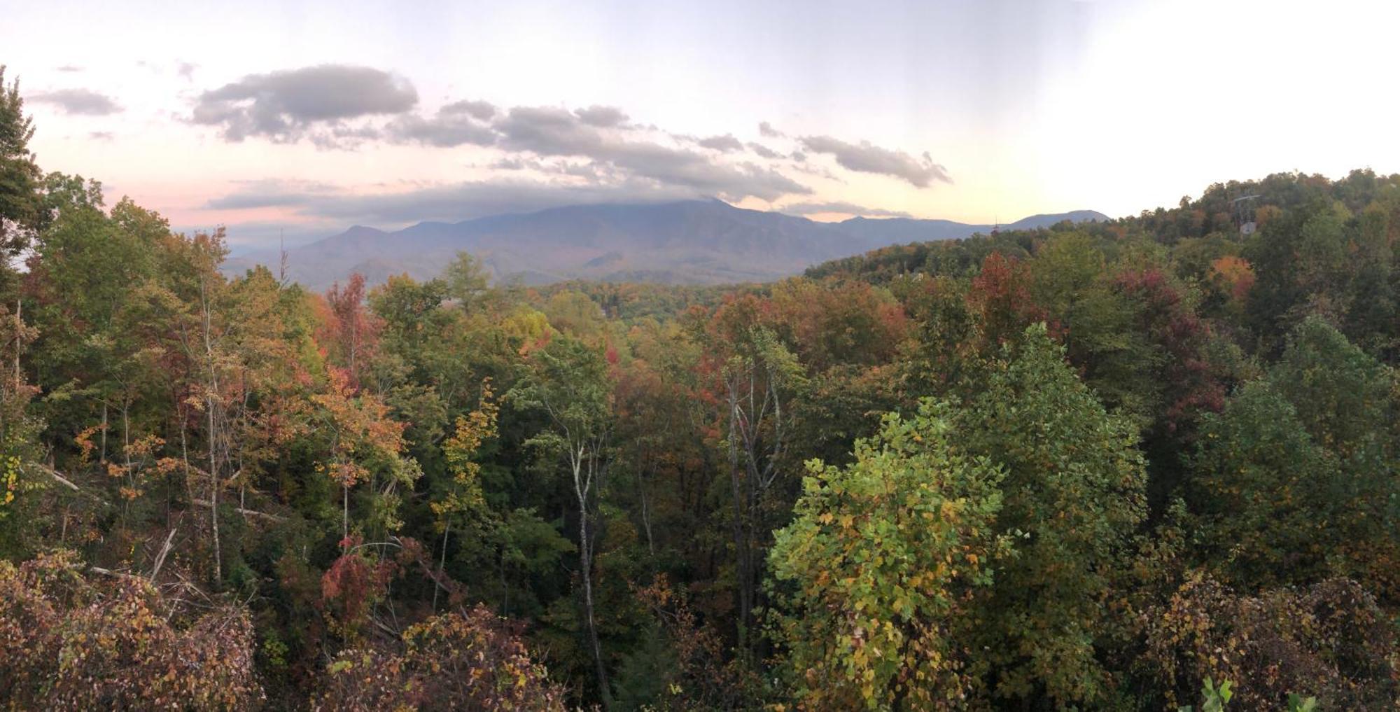 Heavenly View - Bear Themed Cabin, Hottub, Dog-Friendly, Near جاتلينبرج المظهر الخارجي الصورة