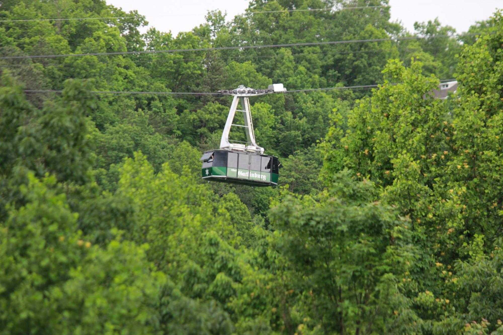 Heavenly View - Bear Themed Cabin, Hottub, Dog-Friendly, Near جاتلينبرج المظهر الخارجي الصورة